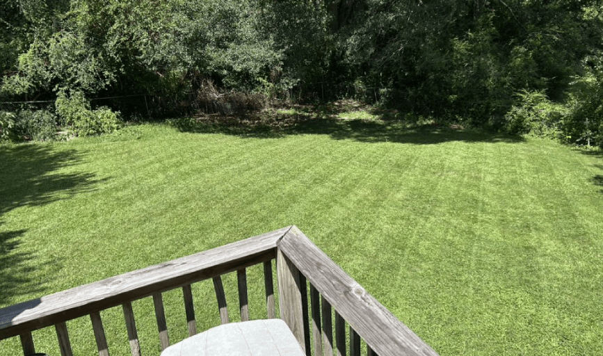 Lawn Mowing